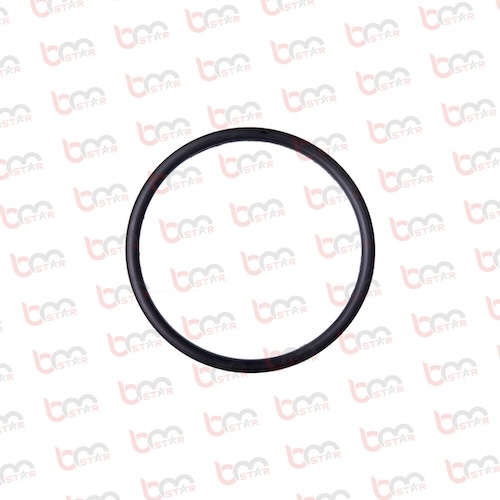 BS20458 - PM O-RİNG 210x8 DIN3771NBR70