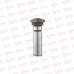 BS30192 - SW PİSTON PİNİ - 10001069