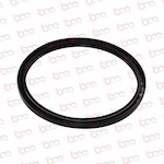 BS40025 - CF YAĞ KEÇESİ 220/250X15 - 906649