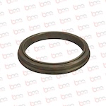 BS30011 - SW AŞINMA RİNGİ DN 230 - 10166890
