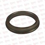 BS30009 - SW AŞINMA RİNGİ DN 210 - 10063939