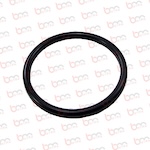 BS30244 - SW D O-RİNG DN 160 (E.M.1.ile 2.çık)  - SOM30331 ile aynı - 10004761