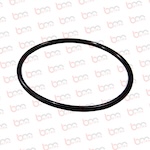 BS30253 - SW 200X10 KAZAN ÇIKIŞ ŞİBER O-RİNGİ - 10000602